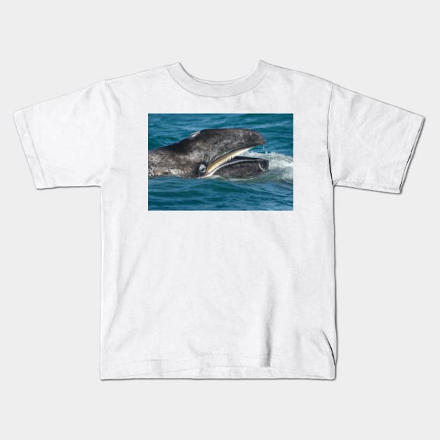 Grey whale (C007/3010) Kids T-Shirt by SciencePhoto